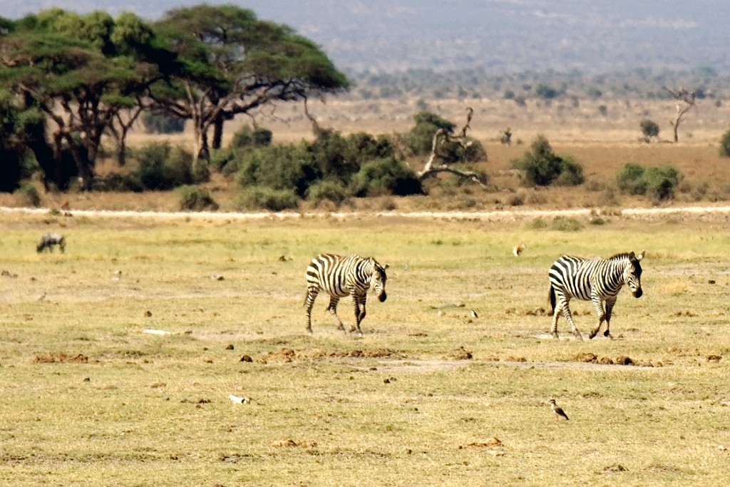 Kenia (145).jpg